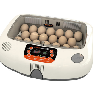 Rcom 20 Eggs MAX Automatischer Inkubator