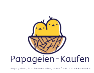 Papageien kaufen